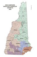 Executive Council: The powerful job few voters know about